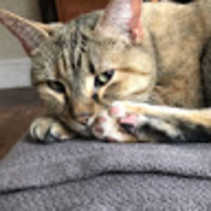 Meet your Posher, Nikki